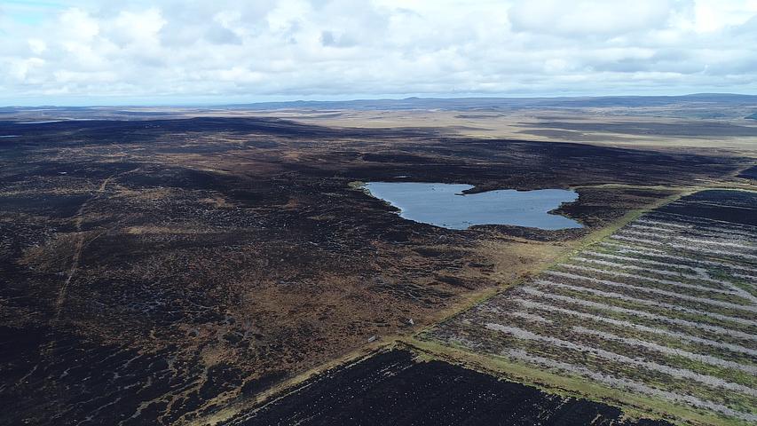 Wildfire and drainage accelerate carbon loss from northern peatlands ...